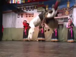 MS Guys performing dance tricks on stage at cultural performance AUDIO / Dharamsala, Himachal Pradesh, India Stock Footage