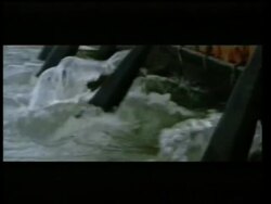 Profile of the leading ladies vying for Oscar win News Clip