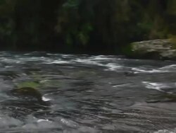 Waterfall Stock Footage