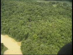 Rainforest and river, aerial view, POV helicopter, Panama, Central America Stock Footage