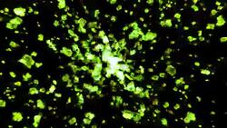 Explosion (Loopable) Stock Footage