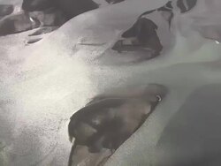 WS AERIAL View of clouds over Volcanic sandbank / Iceland  Stock Footage