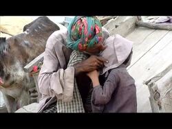 CLEAN: UN says Pakistan floods worse than 2004 tsunami News Clip