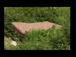 Fly-tipping shots News Clip