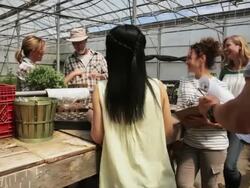 Workers meeting in plant nursery greenhouse Stock Footage