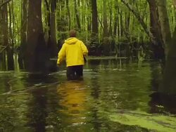 WS Shot of man walking swampy water river/ Manteo, north Carolina, united states Stock Footage