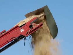 Statewide Drought Forces Californians To Take Drastic Measures For Water Conversation Stock Footage