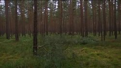 Protesters continue attempts to impede nuclear waste shipment News Clip