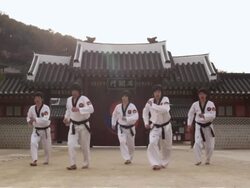 MS Korean Martial arts group performing taekwondo  / Kyungkido, Bucheon, South Korea Stock Footage