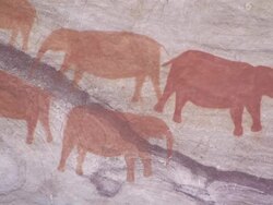 CU Cave paintings of elephants in Cederberg Mountains / Western Cape, South Africa Stock Footage