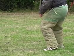 MS SLO MO Domestic Dog, German Shepherd Dog Attack to trainer working with Dog, Bite / Normandy, France, Europe Stock Footage