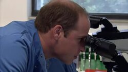Prince William Using Microscope In A Lab News Clip