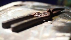 pruning shears on the wooden table Stock Footage
