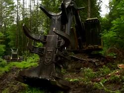 Slight tilt down on full shot of feller buncher as it opens and closes. Stock Footage