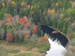 WS ARIEAL ZI View of River along wooded area / Maine, United States Stock Footage