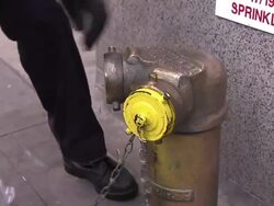 A firefighter tightens the clapper valve on a fire hydrant. Stock Footage