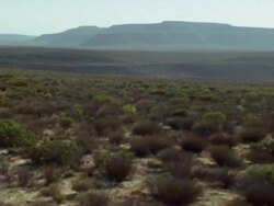 Aerial over scrubby vegetation, mountains in background, Namaqualand, South Africa Stock Footage