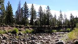 California Drought Mountain Stream Stock Footage
