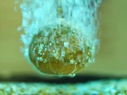 Oxygen bubbles Stock Footage