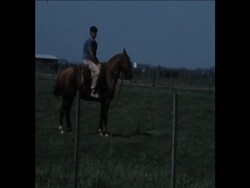 SYND 7-3-74 PRESIDENT OF RUMANIA VISITS CATTLE FARM IN MAR DEL PLATO REGION News Clip