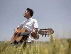 Man playing the guitar in the wheat fields Stock Footage