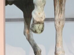 ATMOSPHERE - 'Fendi for Fountains' Press Conference at Campidoglio on January 28, 2013 in Rome, Italy. (Footage by WireImage Video/Getty Images) Stock Footage