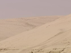 WS View of sand and desert / Doha, Qatar  Stock Footage