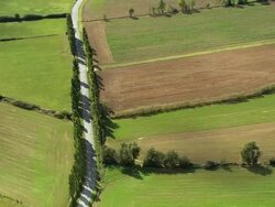 AERIAL WS Poplar trees growing along tree lined road near fields / Rhone-Alpes, France Stock Footage