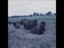 SYND 23-7-71 THE WORLDS LARGEST ATOM SMASHER IN ILLINOIS News Clip