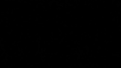 CLEAN : Stars stand against Trump travel ban on SAG Awards red carpet News Clip