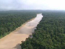 Aerial rainforest and river, Maliau Basin, Sabah, Malaysia, Borneo Stock Footage