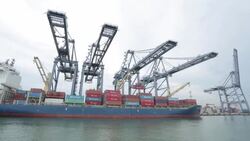 Cargo container shipping transportation Stock Footage