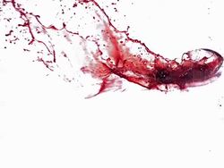 MS SLO MO Glass of red wine falling on floor and splashing wine / Vieux, Normandy, France    Stock Footage