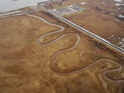 Marshes in wetlands Stock Footage