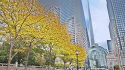 Freedom Tower - New York Stock Footage