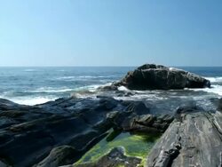 WA T/L waves crashing on rocks, Maine, USA Stock Footage