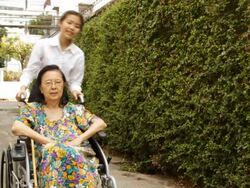 Young caregiver helping elderly woman on wheelchair Stock Footage