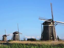 WS Shot of windmills near Leidschendam / South Holland, Netherlands Stock Footage