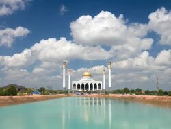 Mosque Stock Footage