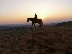 HD: Riding Horse On The Ridge At Sunset Stock Footage