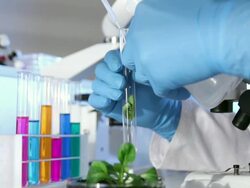 Genetic Research - Extraction Stock Footage