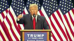 Trump Calls Sen. Elizabeth Warren 'Goofy' News Clip