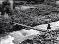 DUKE SEES LYNMOUTH EMERGING News Clip