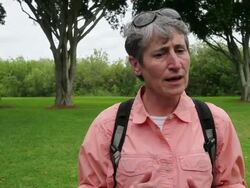 New Interior Secretary Sally Jewell Tours Florida Wildlife Refuge Stock Footage