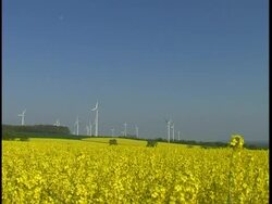 Wind generator with a canola field in the forground Stock Footage