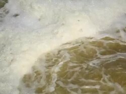 Bubbling Waste Water Close-up Stock Footage