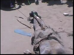 WRAP GRAPHIC Soldiers' bodies burning, dead civilians; ADDS US ambassador News Clip