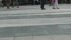 Shopper Stock Footage