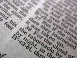 HD 1080i Leviticus Stock Footage