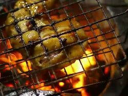 Grilled Chicken Stock Footage